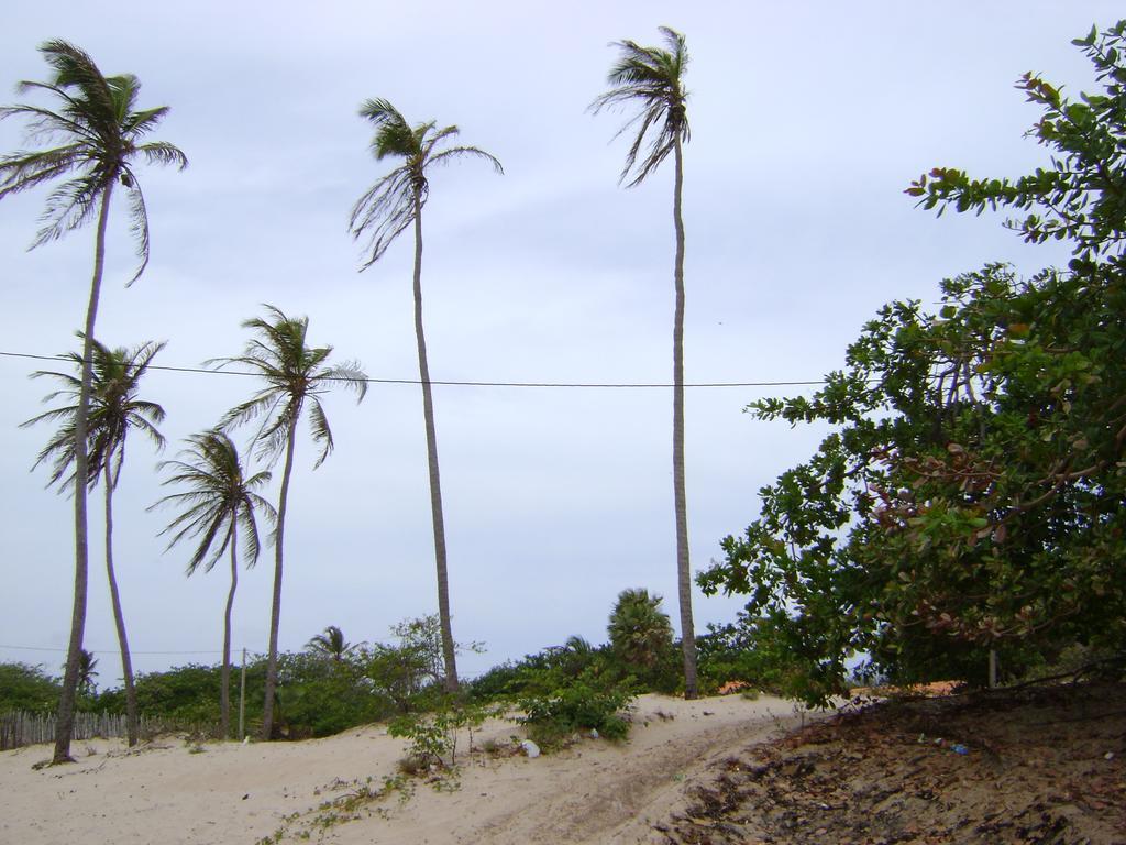 Pousada Paraiso Das Canárias Buitenkant foto